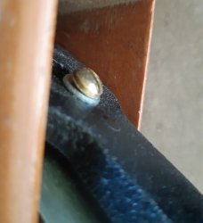 20220823_182303.jpg