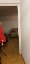 20220908_201117.jpg