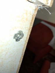 IMG_20220904_180835.jpg