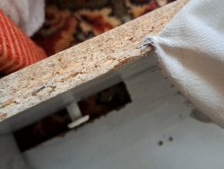 IMG_20220913_164825.jpg