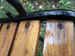 IMG_20221001_120158949.jpg IMG_20221001_120158949.jpg