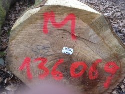 IMG_0563 1.jpg IMG_0563 1.jpg