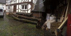 IMG_0747 1.jpg IMG_0747 1.jpg