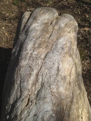IMG_0780 1.jpg IMG_0780 1.jpg