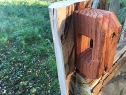 IMG_0935.JPG IMG_0935.JPG