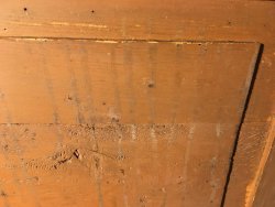 IMG_5700.JPG
