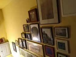 IMG_20221029_185735.jpg