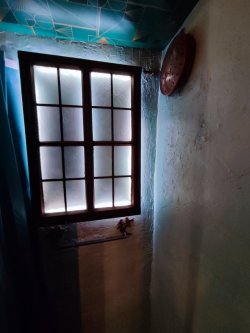 IMG_20220731_111725.jpg