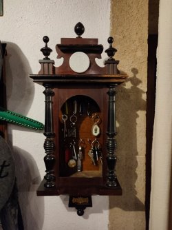 IMG_20220728_222238.jpg