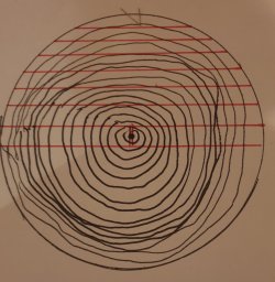 20221204_183913.jpg