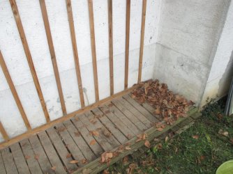 IMG_6110.JPG IMG_6110.JPG