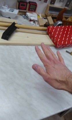 1_Hand_10cm.jpg