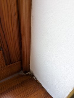 Übergang_Putz_Fenster.jpeg