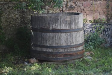 DSC_0040.jpg
