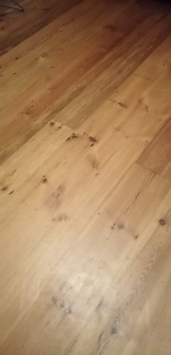 IMG_20230129_174827.jpg