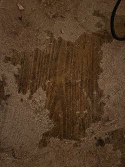 BEC679C5-6F15-4149-9267-A975200C5062.jpeg