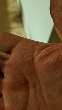 1678376502435.jpeg 1678376502435.jpeg