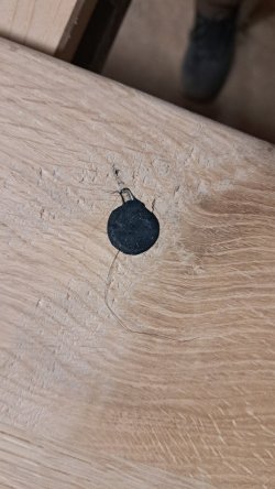 1678376774583.jpeg 1678376774583.jpeg