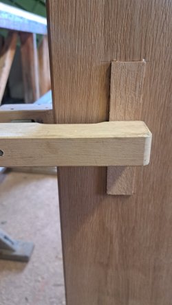 1678376978824.jpeg 1678376978824.jpeg