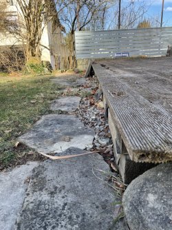 IMG_6789.jpg