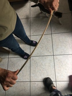 13574AEB-6E30-4EC4-9D14-862E75E1E9E5.jpeg