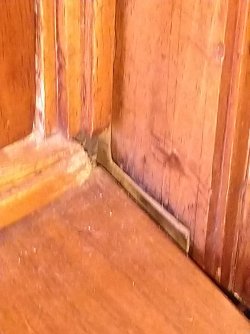 IMG_20230323_083552.jpg