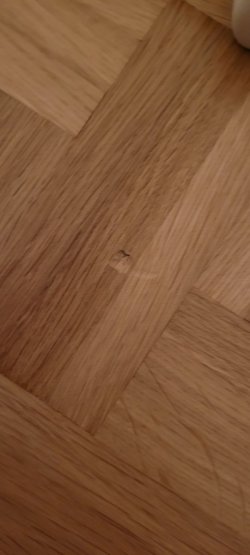 20230325_023423.jpg