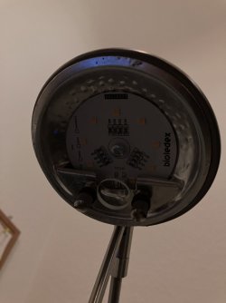 1F4B88E5-CA90-4CF7-94C5-9166B2E38AC5.jpeg 1F4B88E5-CA90-4CF7-94C5-9166B2E38AC5.jpeg