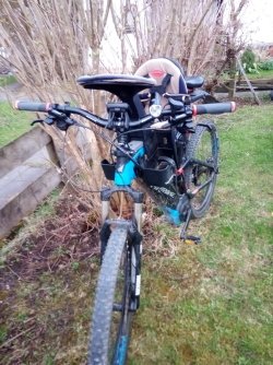 IMG_20230410_190817.jpg IMG_20230410_190817.jpg