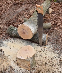 schrotsaege05.jpg