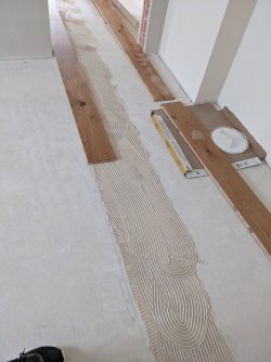 PXL_20230429_104943695.jpg