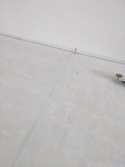 PXL_20230429_094628459.jpg