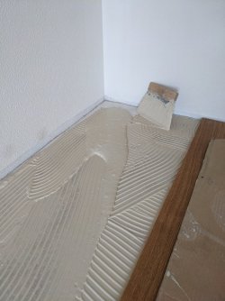 PXL_20230430_151349034.jpg