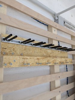 PXL_20230324_152435933.jpg PXL_20230324_152435933.jpg