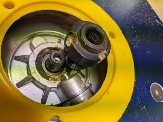 PXL_20230516_113943810.MP.jpg PXL_20230516_113943810.MP.jpg