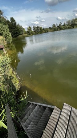IMG_0747.jpeg
