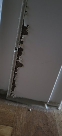 20230627_062458.jpg