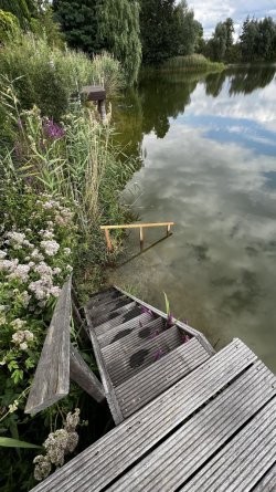 IMG_0796.jpeg