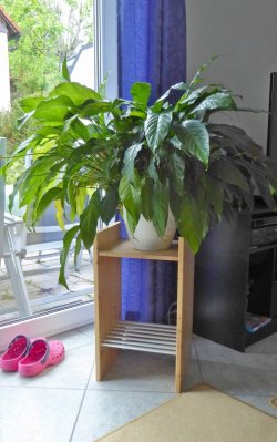 49_Ständer Tochter.jpg