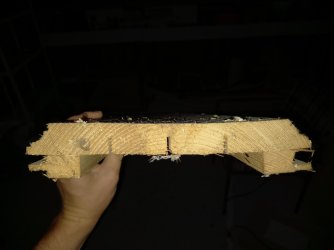 20230727_210105.jpg