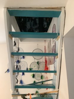 IMG_0382.jpeg
