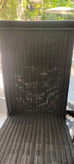 20230818_160857.jpg