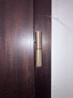 IMG_4097.jpeg