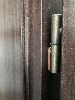 IMG_4110.jpeg