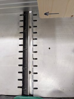 PXL_20230903_174026420.jpg