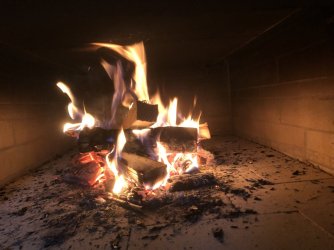 IMG_7904.jpeg