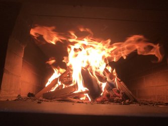 IMG_7915.jpeg
