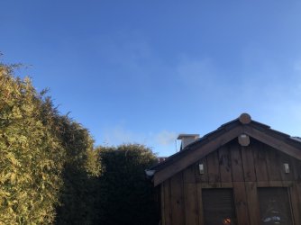 IMG_9783.jpeg