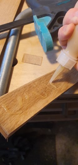 20230828_110905.jpg 20230828_110905.jpg