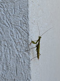 IMG_4844.jpg